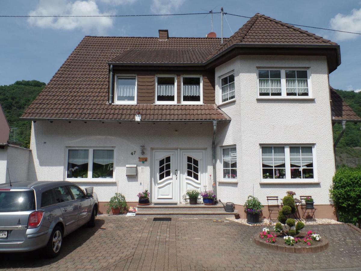 Ferienwohnung Erz Burgen  Eksteriør billede